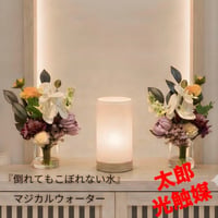 光触媒　観葉植物　ウォールグリーン　フェイクグリーン　マジカルウォーター2420