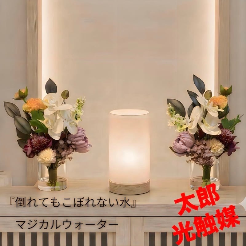 CATEGORY 光触媒 ウォールグリーン | 太郎's STORE