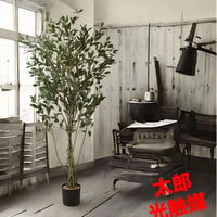光触媒　人工観葉植物　ウォールグリーン　フェイクグリーン　フィカスシャングリア