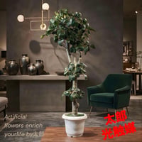 光触媒　人工観葉植物　ウォールグリーン　フェイクグリーン　カポック12348