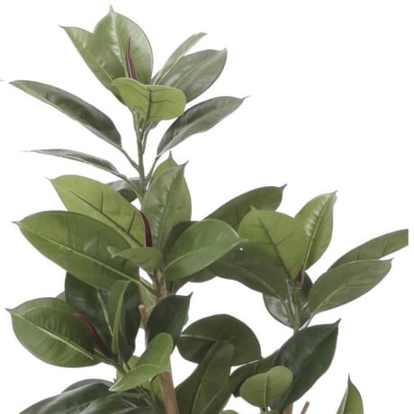 光触媒　人工観葉植物　ウォールグリーン　フェイクグリーン　ゴムの木1.6@