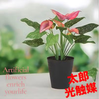 光触媒　人工観葉植物　ウォールグリーン　フェイクグリーン　東北カラー55