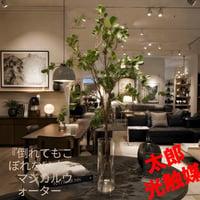 光触媒　人工観葉植物　ウォールグリーン　フェイクグリーン　マジカルウォーター1006