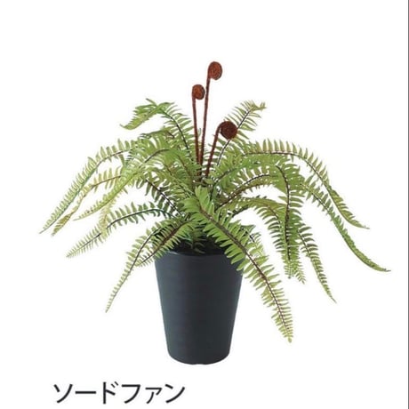 光触媒　人工観葉植物　ウォールグリーン　フェイクグリーン　ソードファン