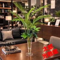 光触媒　観葉植物　ウォールグリーン　フェイクグリーン　マジカルウォーター8563