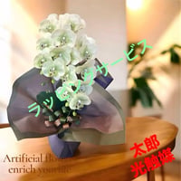 光触媒　人工観葉植物　ウォールグリーン　フェイクグリーン　リアル胡蝶蘭70gg