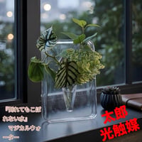 光触媒　観葉植物　ウォールグリーン　フェイクグリーン　マジカルウォーター3016