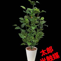 光触媒　人工観葉植物　ウォールグリーン　フェイクグリーン　ポトス3103
