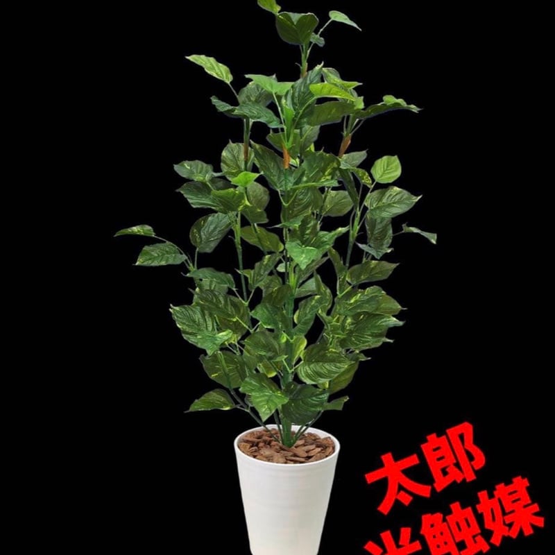 太郎's STORE