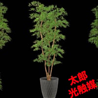 光触媒　人工観葉植物　ウォールグリーン　フェイクグリーン　タイワンモミジ8331
