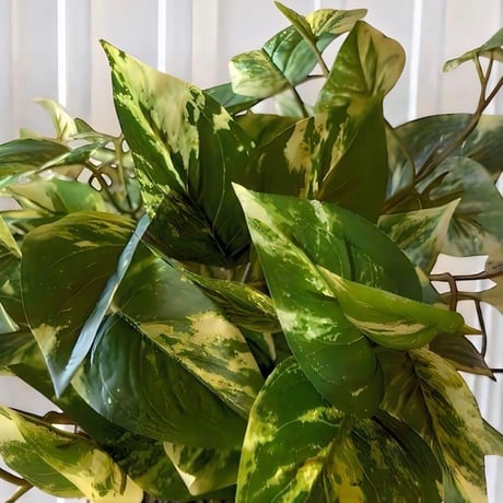 光触媒　人工観葉植物　ウォールグリーン　フェイクグリーン　ポトス4351