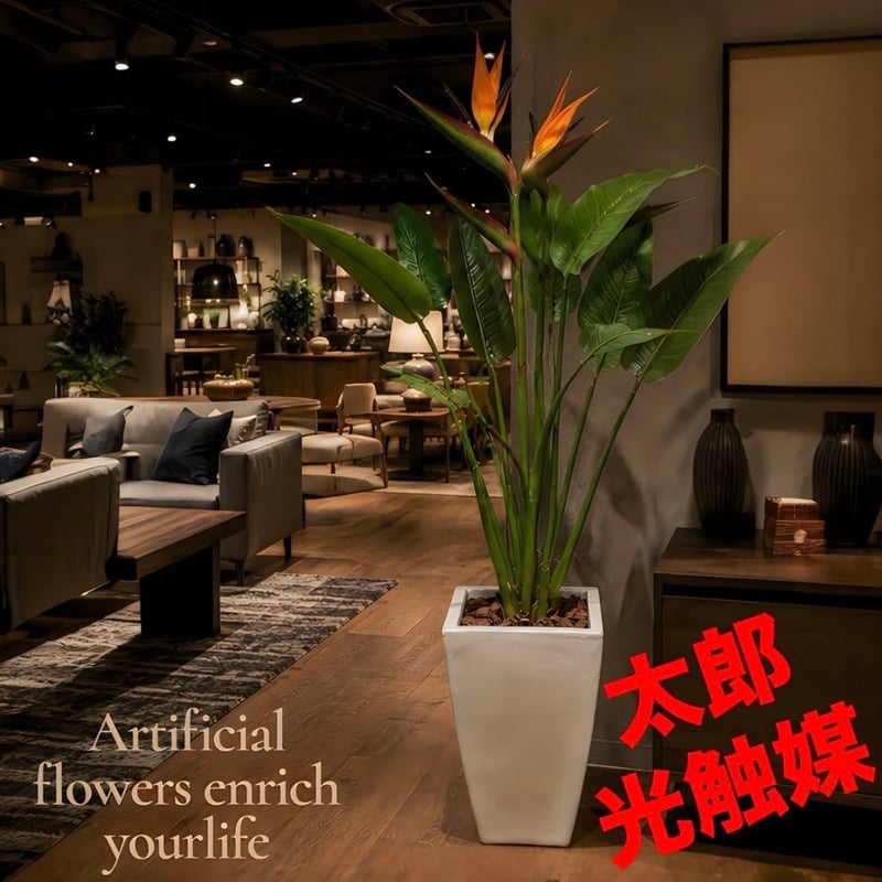 太郎's STORE