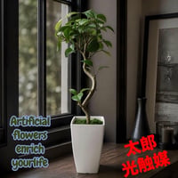 光触媒　人工観葉植物　ウォールグリーン　フェイクグリーン　ガジュマル50