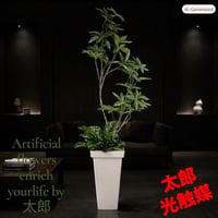 光触媒　観葉植物　ウォールグリーン　フェイクグリーン　スリムパキラ10732白鉢