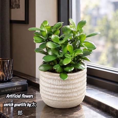 光触媒　人工観葉植物　ウォールグリーン　フェイクグリーン　21エケベリアポット