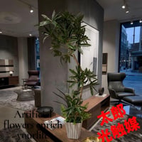 光触媒　人工観葉植物　ウォールグリーン　フェイクグリーン　シェフレラアンガス12