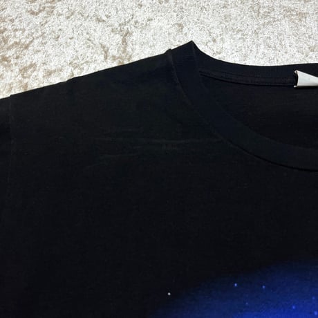 2010 THE BEACH BOYS ツアーTシャツ