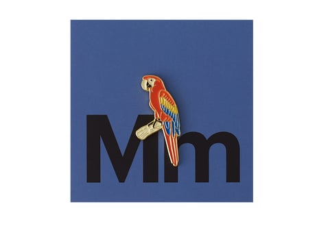 ピンバッジ_コンゴウインコ