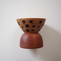 宮内知子　フードボウル