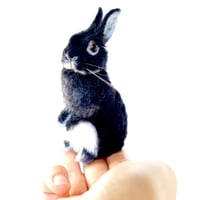 Finger Bunny MiMi  / ブラックシルバーマーチンのネザーさん