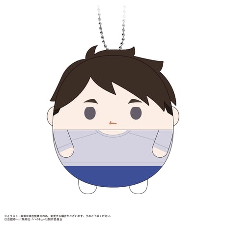ハイキュー!!　ふわコロりん11