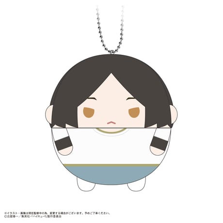 ハイキュー!!　ふわコロりん11