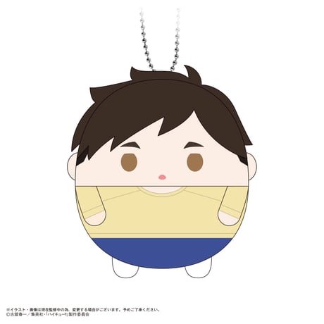 ハイキュー!!　ふわコロりん11