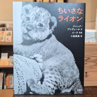 ちいさな ライオン