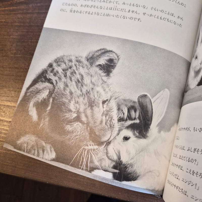 ちいさな ライオン | 本屋 itoito