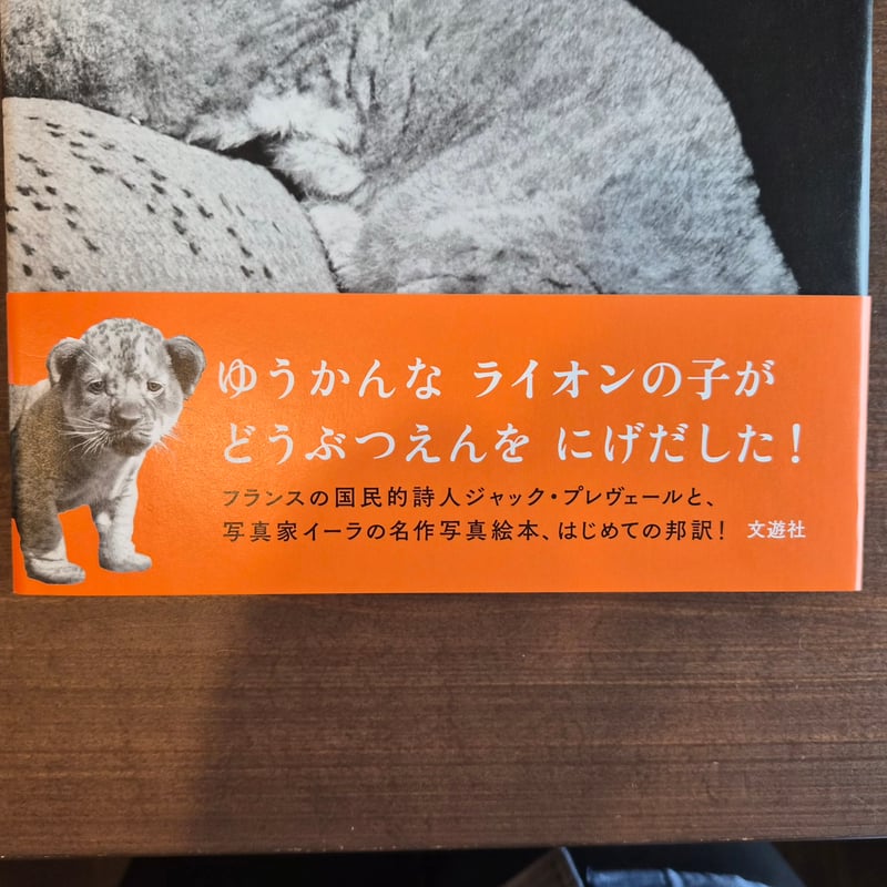 仏 ガリマール社 プレイヤード叢書 プレヴェール ２冊 + ちいさなライオン ちいさな ライオン | 本屋 itoito