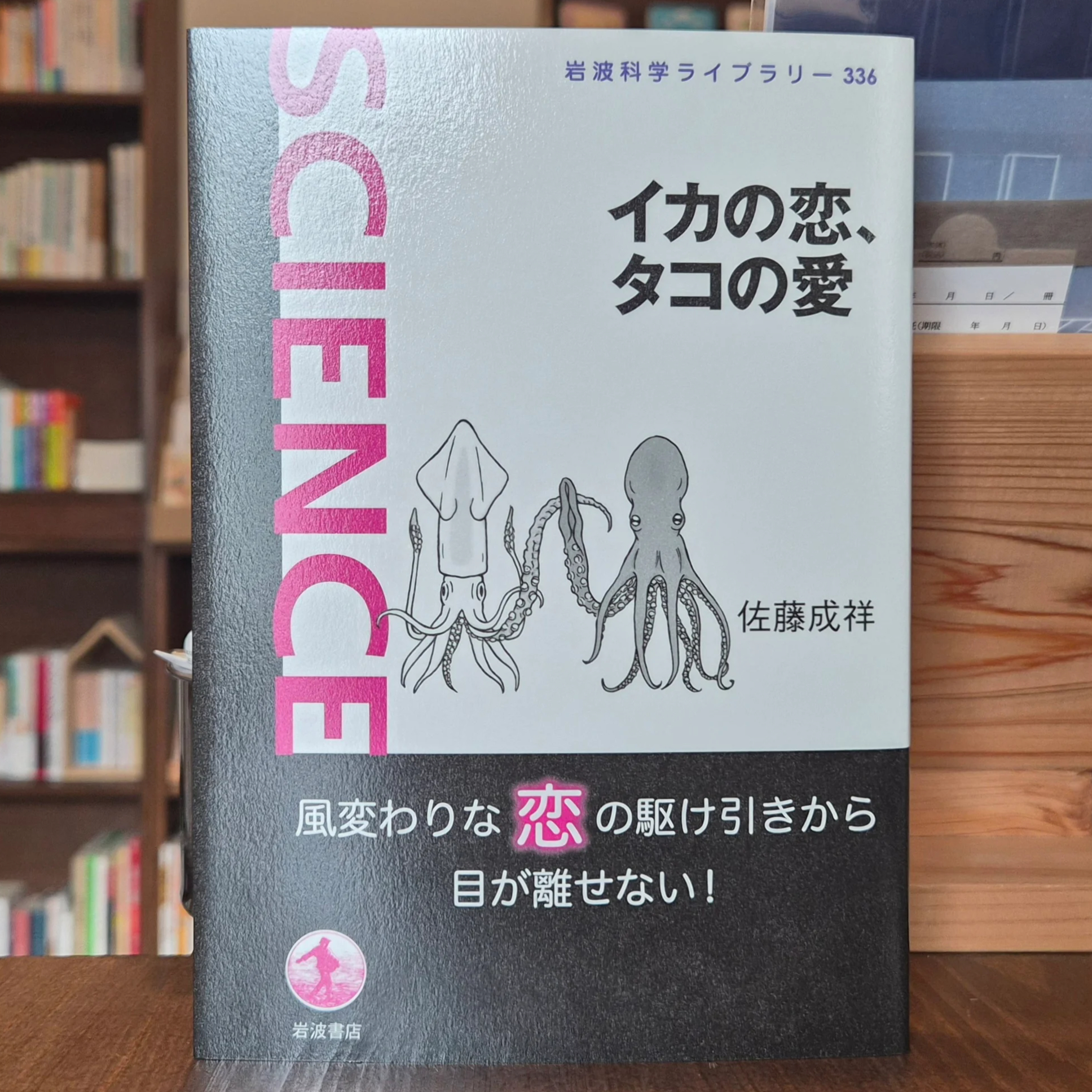 イカの恋、タコの愛 | 本屋 itoito