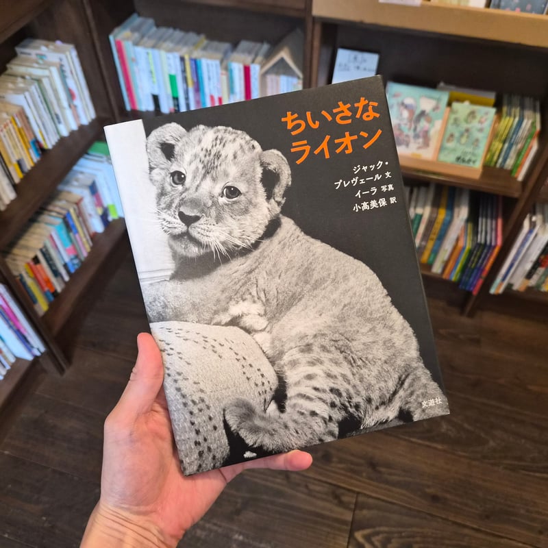 ちいさな ライオン | 本屋 itoito