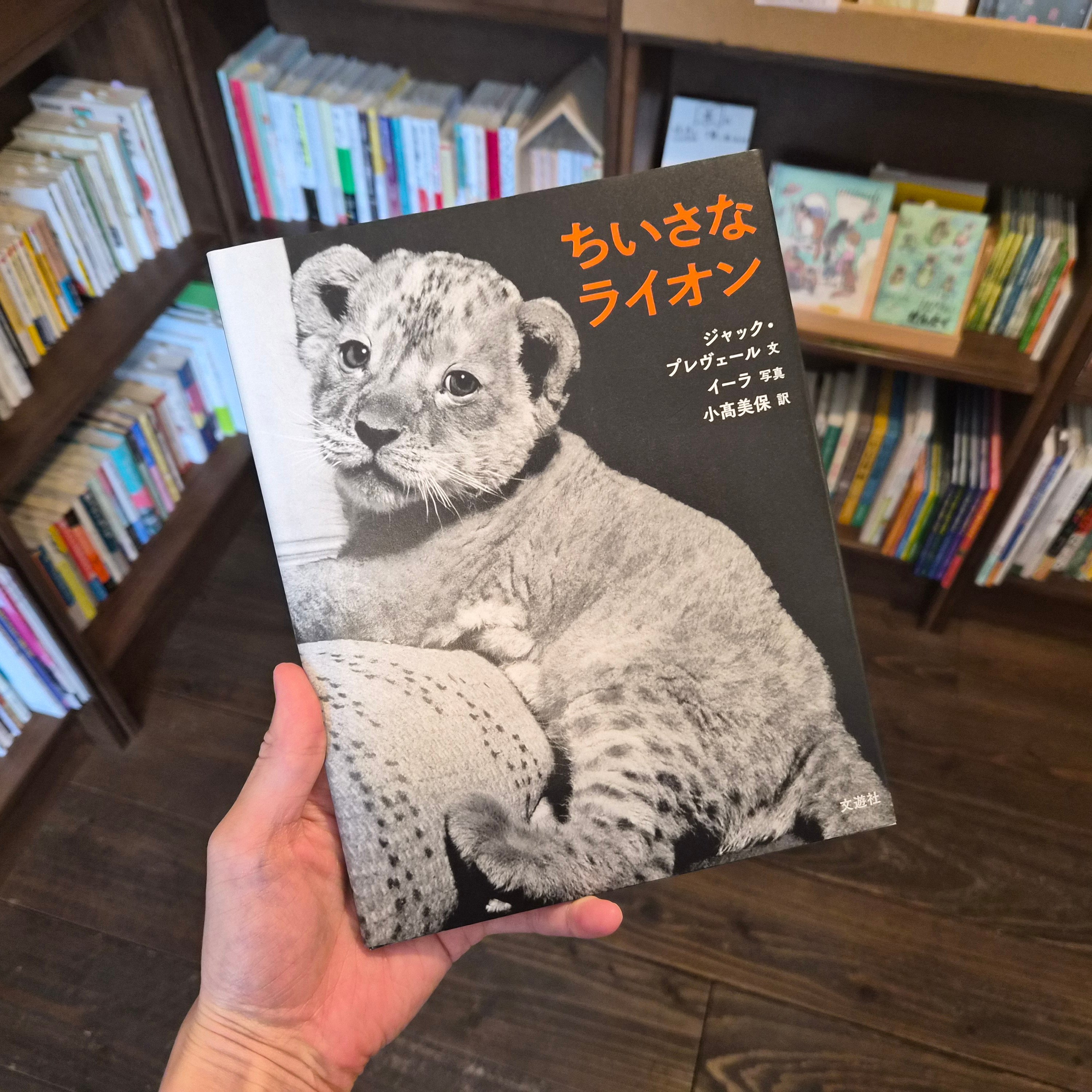 ちいさな ライオン | 本屋 itoito