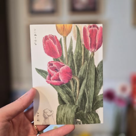 CATEGORY zine | 本屋 itoito
