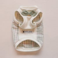 パステルコットンのシャツタンク（Green）