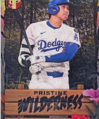 2024 topps 大谷翔平 ドジャース | sportscards jst