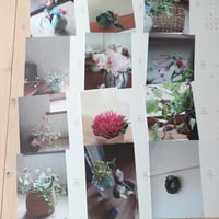 花のこよみ2027