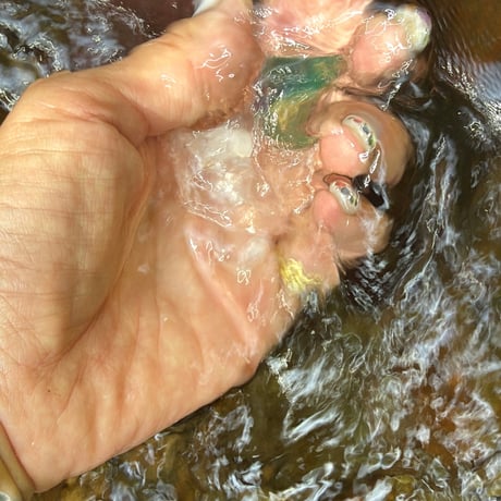 「素粒水」抗酸化力のある水！を作る浄水器☆お塩をプレゼント☆コスパ良し！ワンウオーターECO 　取り付け簡単　コンパクトな浄水器☆ペットボトルに汲み置きして災害時の常備水にも