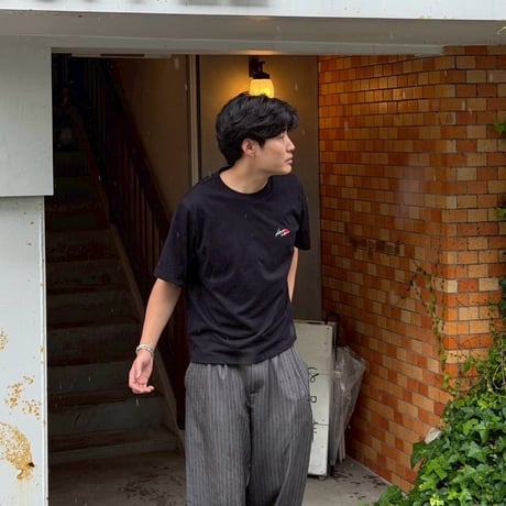 standard logo tee