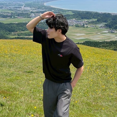 standard logo tee