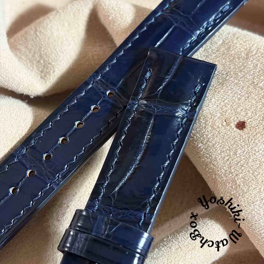 6ab5bdc203cddd0409196e5d
