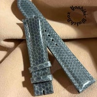 sna-182 シースネイク（ウミヘビ）グレー 腕時計ベルト  (ラグ幅21mm - バックル幅18 mm)