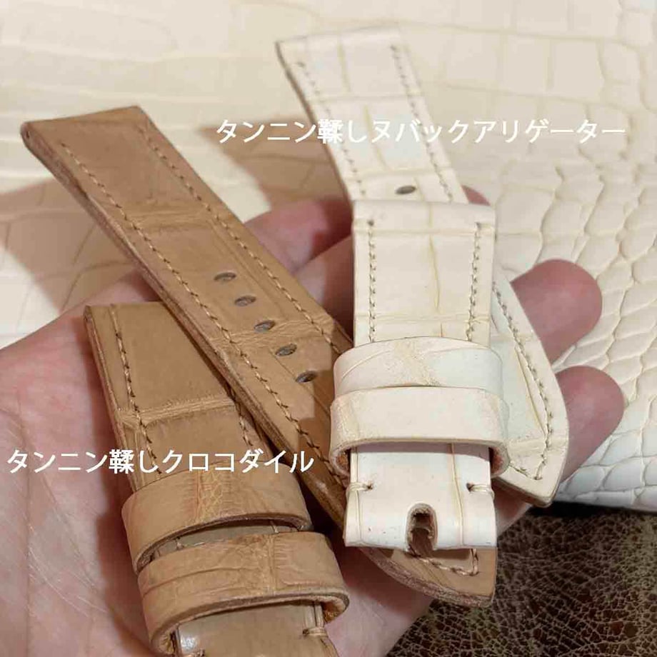 6a865cfb12e4fdc7c44e5205