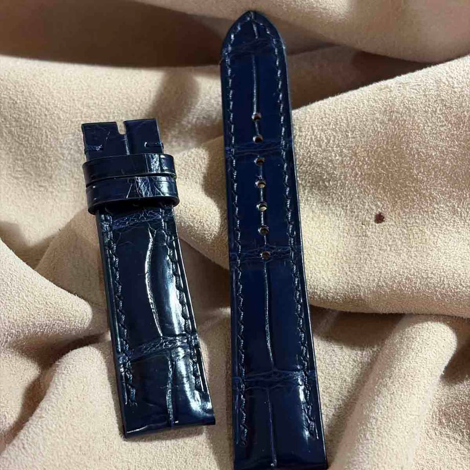 6ab5bdc203cddd0409196e5d