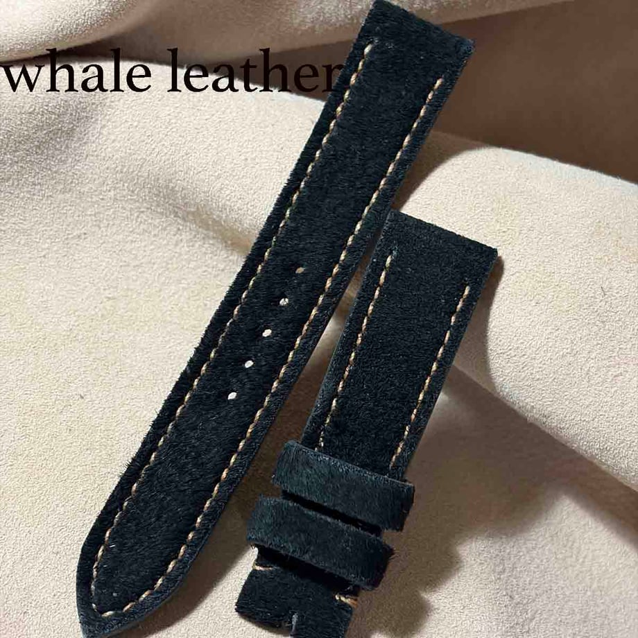 6ad850bf87cad065b03b9fb5