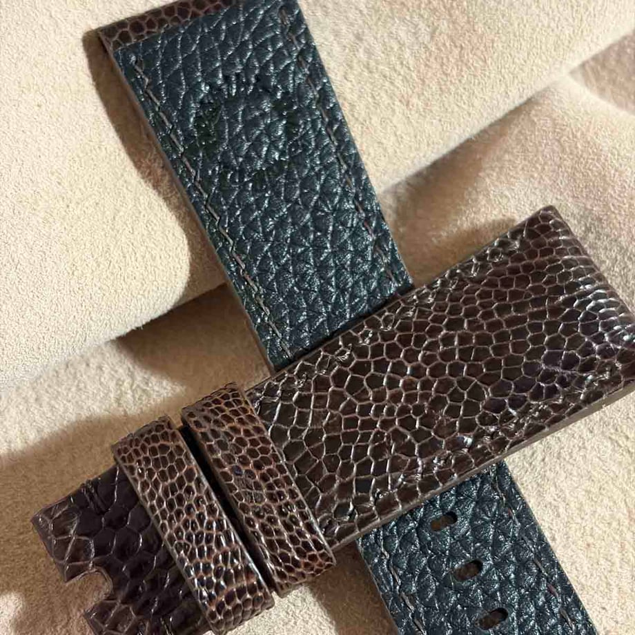 6a5c7656a537ca1dc852e8fe
