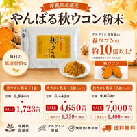【SALE】やんばる秋ウコン粉末タイプ 100g【単品～20個セット】