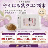 【SALE】やんばる紫ウコン粉末タイプ 100g【単品～20個セット】