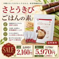 【SALE】さとうきびごはんの素 60g【単品/3個セット】