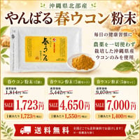 【SALE】やんばる春ウコン粉末タイプ 100g【単品～20個セット】